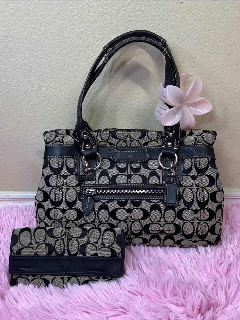 Coach bag & wallet